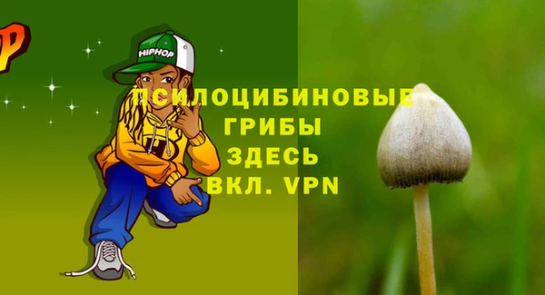 мдпв Гусиноозёрск