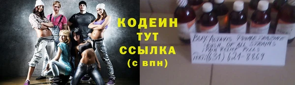 дурь Гусев