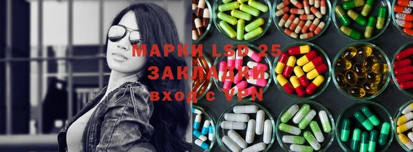 дурь Гусев