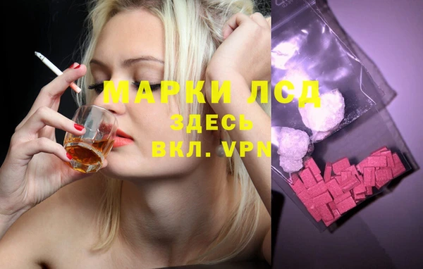 дурь Гусев