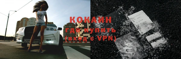 дурь Гусев