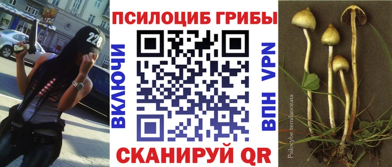 кракен маркетплейс  даркнет какой сайт  Галлюциногенные грибы прущие грибы  Новоржев 